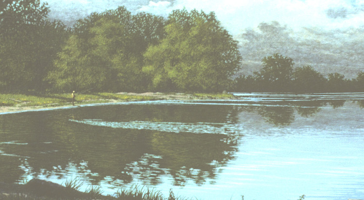 Pond-750x410-1.jpg